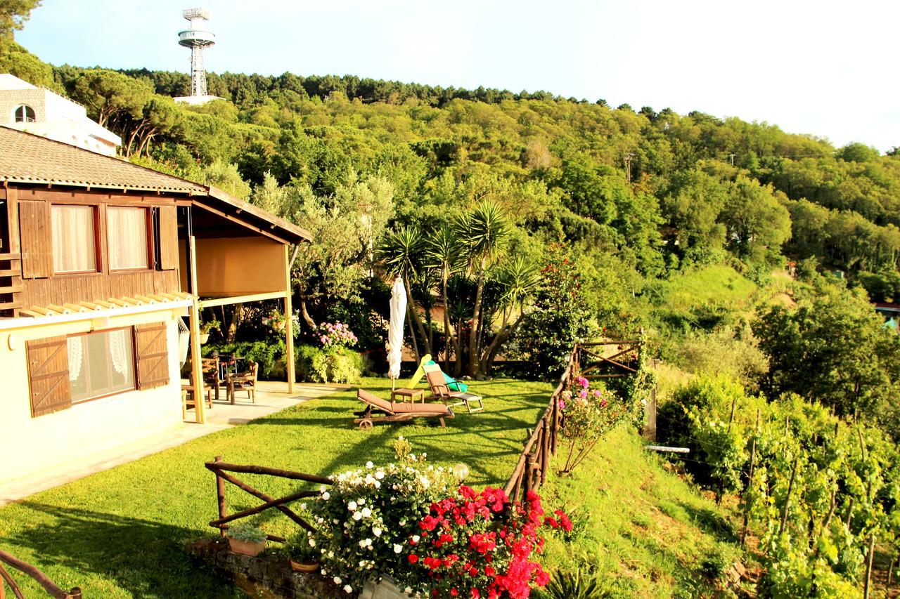 הוילה סורנטו Chalet Annie מראה חיצוני תמונה